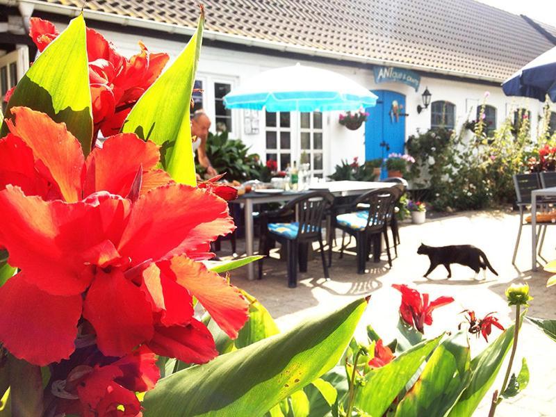 Myrehoj Bed & Breakfast Eskebjerg Buitenkant foto